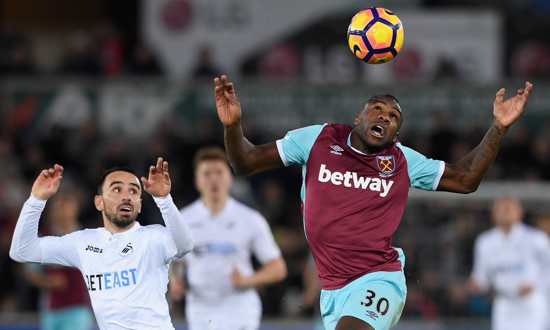 球队在部分 球队在部分